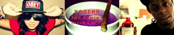 прущие крисы Осинники