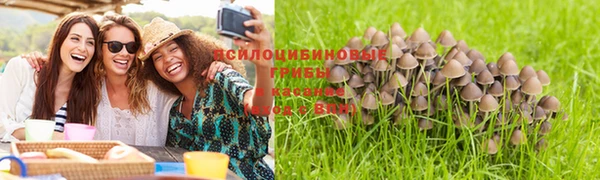 трава Остров