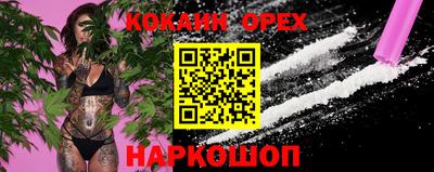 винт Донской
