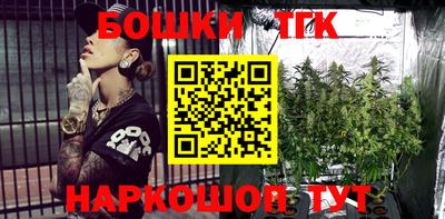 мяу мяу мука Аргун