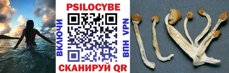 Псилоцибиновые грибы GOLDEN TEACHER  как найти закладки  Нарьян-Мар 
