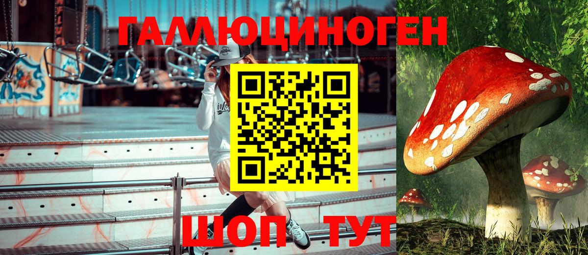 Галлюциногенные грибы Cubensis  Псилоцибиновые грибы Cubensis  Нарьян-Мар 