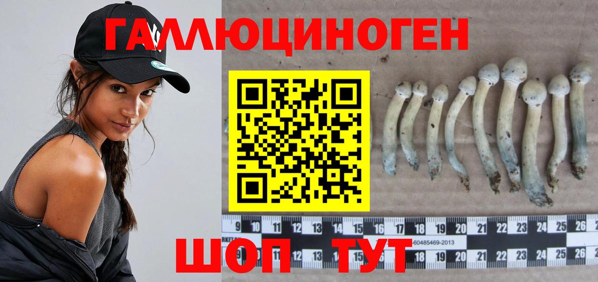 Нарьян-Мар  Псилоцибиновые грибы Psilocybe  что такое   Вход с VPN  Псилоцибиновые грибы мухоморы 
