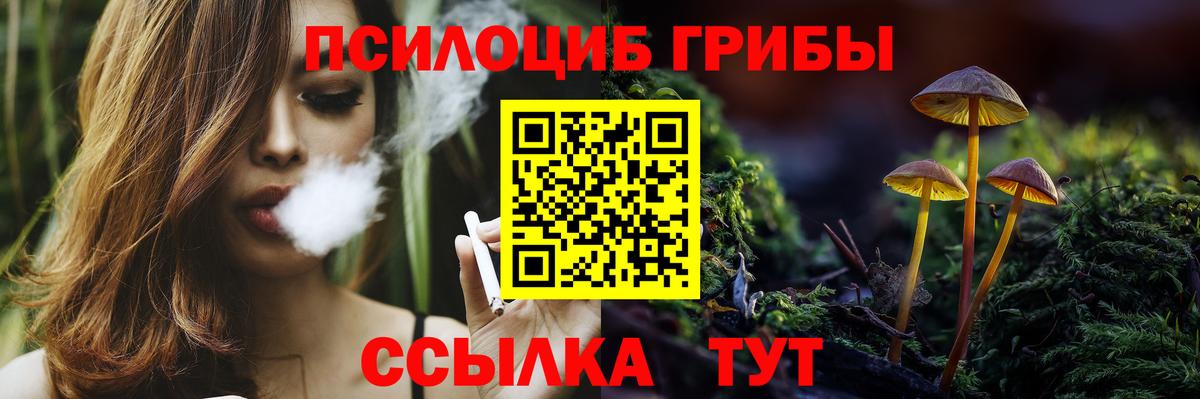 Галлюциногенные грибы мухоморы Нарьян-Мар